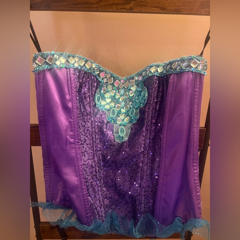 Leg Avenue Purple and Blue Bustier